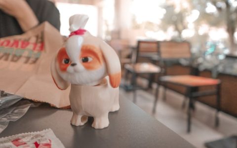编程学习网站