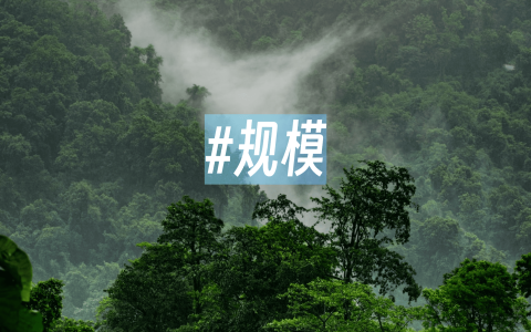 规模