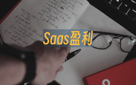 saas盈利