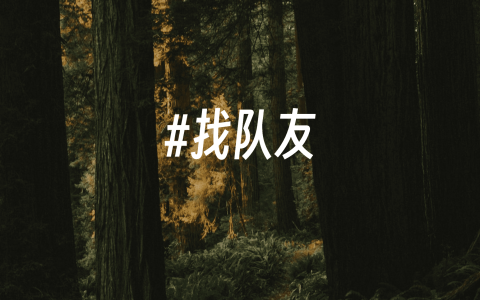 独立开发找队友