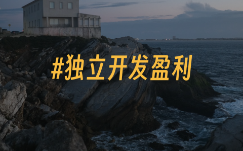 独立开发盈利