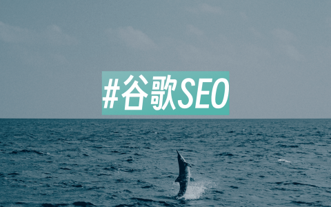 谷歌seo