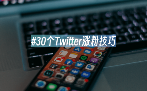 30个Twitter涨粉技巧