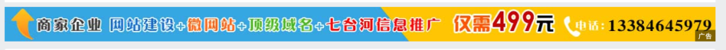 2024年，本地信息网站还能做吗？