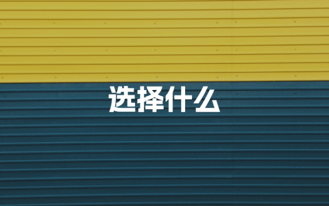 独立开发选择