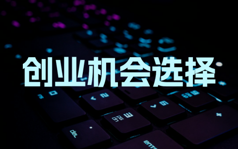 创业机会选择