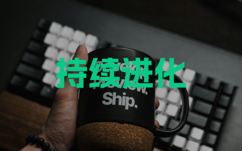 持续进化