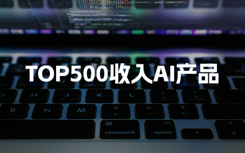 TOP500收入AI产品
