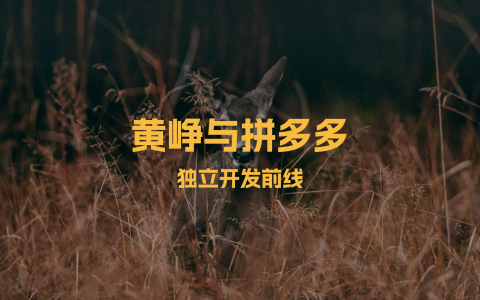 黄峥与拼多多