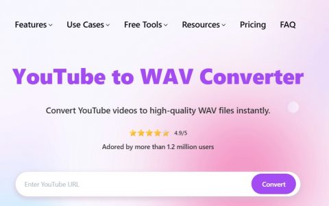 Convert YouTube videos to high-quality WAV files instantly