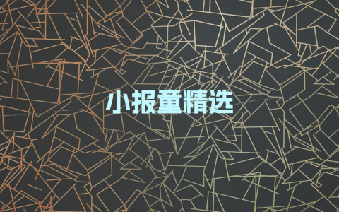 小报童精选专栏，我的深夜读物