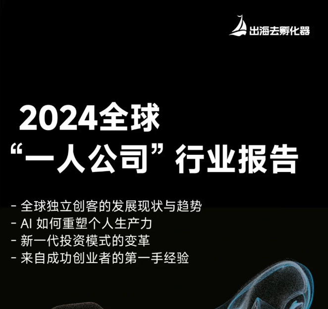 【出海去特刊】Solo Founders 的 2024