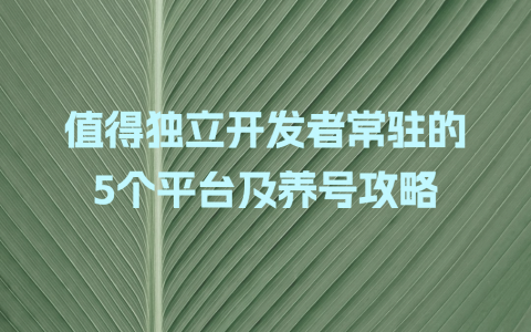 独立开发