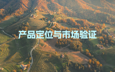 产品定位与市场验证