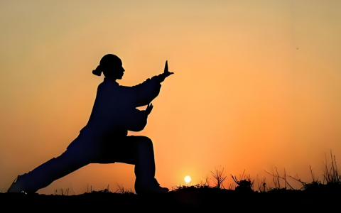 秒变功夫大师！AI Kungfu Video Generator 定制专属武侠风格的AI功夫视频生成器