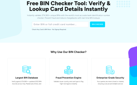 精准 BIN 号码查询！BinChecker.ai 助你优化支付和防欺诈