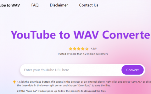 Convert YouTube videos to high-quality WAV files instantly