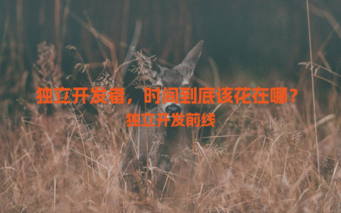 独立开发者