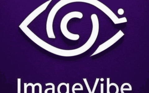 ImageVibe-图像转提示词工具
