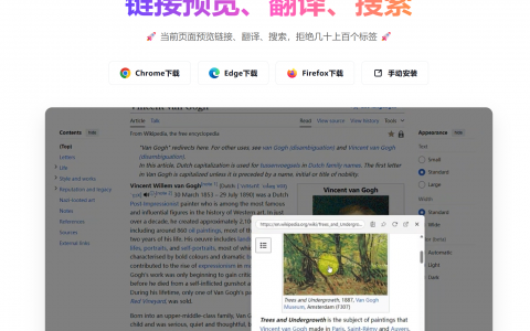 我开发了一个浏览器插件，能让你的浏览器好用一丢丢