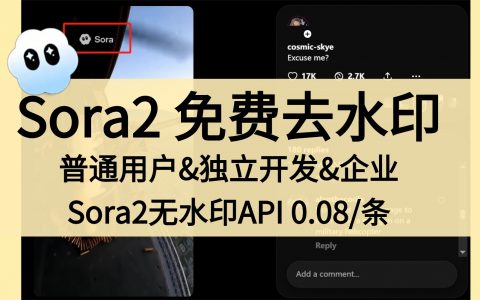 还在求Sora2邀请码？我已经用Sora2 API批量生成无水印视频了！（附免费去水印+Api调用教程）