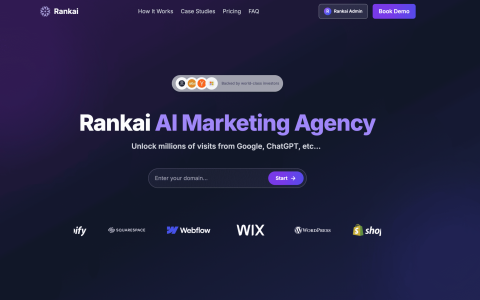 Rankai-AI营销代理机构从Google、ChatGPT及更多平台获取数百万访问量