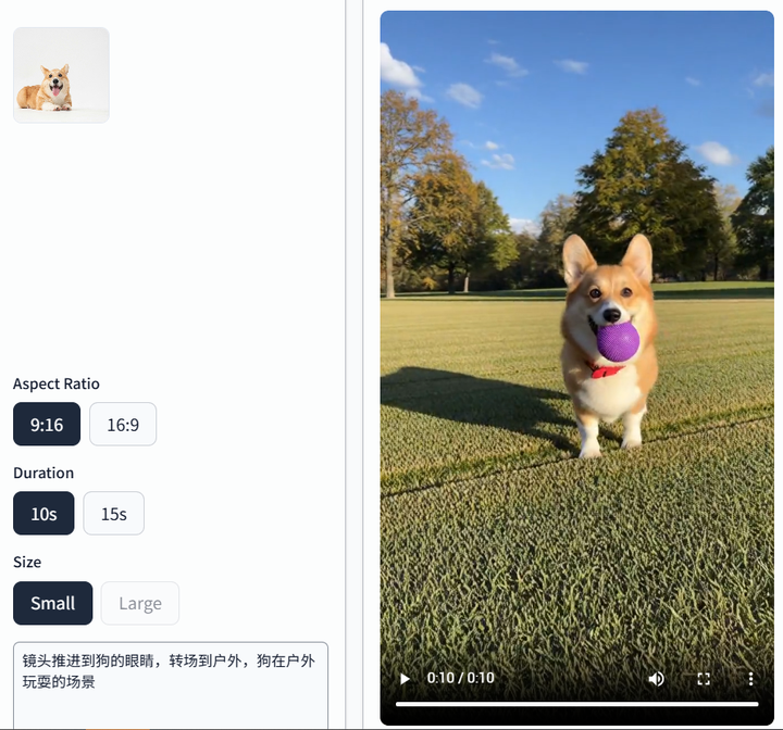 还在求Sora2邀请码？我已经用Sora2 API批量生成无水印视频了！（附免费去水印+Api调用教程）