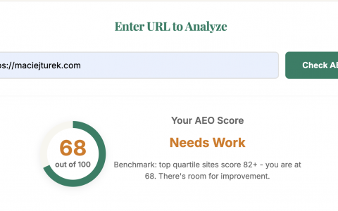 AEO lite-一款实用的答案引擎优化（Answer Engine Optimization）检测工具